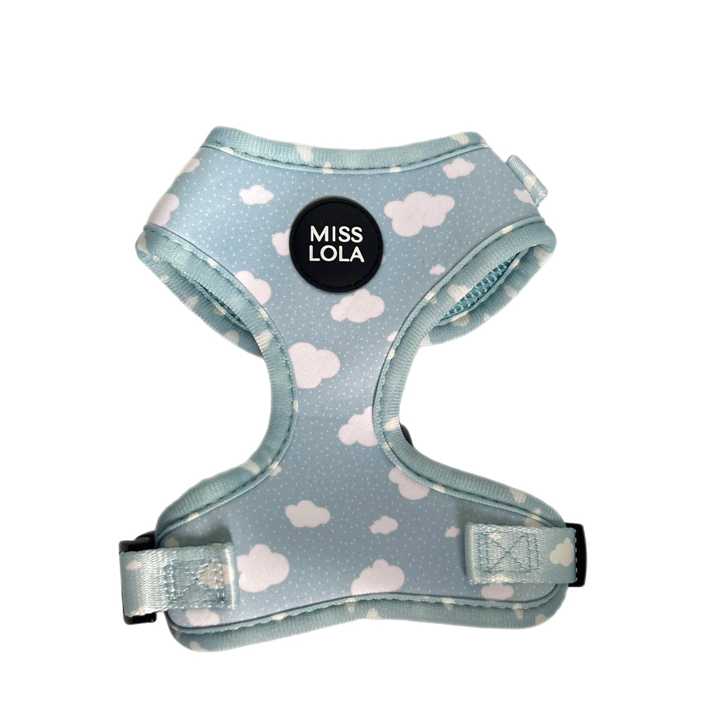 "Day Dream" Harness