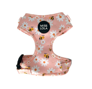 "Bee Sweet" Harness