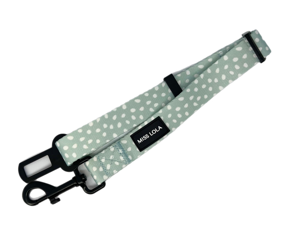 "Mint Bliss" Car restraint