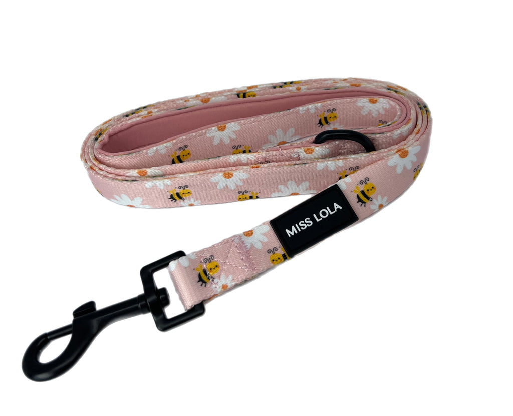 "Bee Sweet" Leash