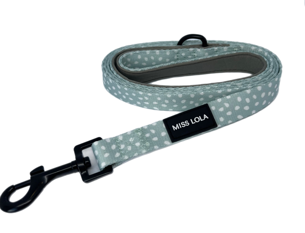 "Mint Bliss" Leash