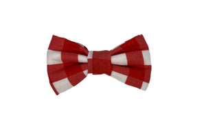 'Chester' Bowtie